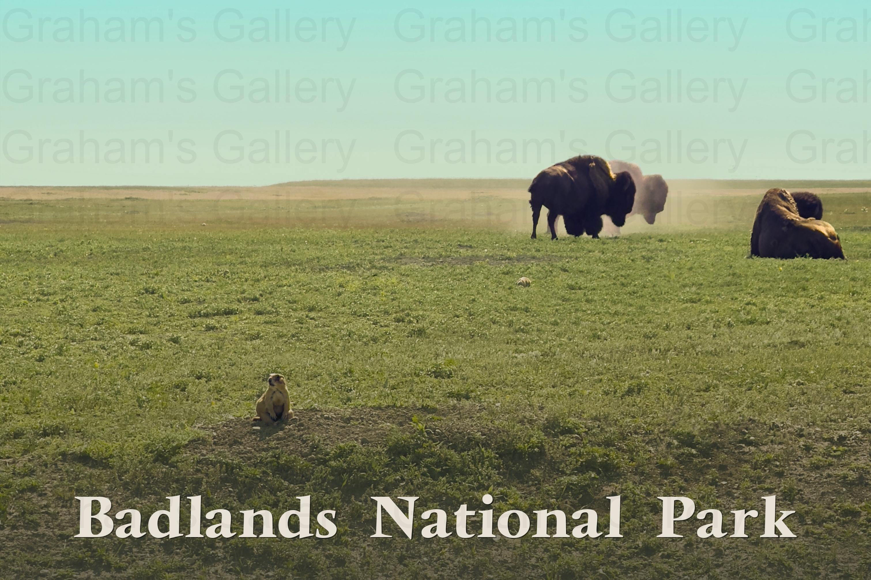 Badlands National Park II Front
