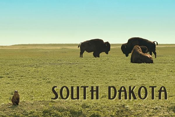 Great Plains – South Dakota Postcard Front