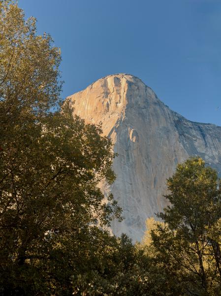 El Capitan - Yosemite National Park Postcard Front