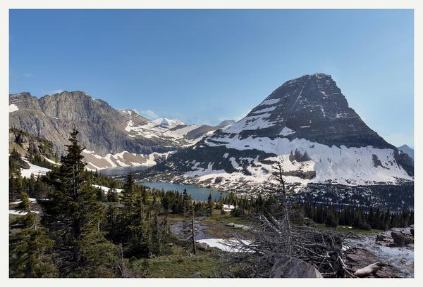 Hidden Lake – Glacier National Park Postcard Front
