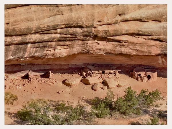 Horse Collar Ruin - Natural Bridges National Monument Postcard Front