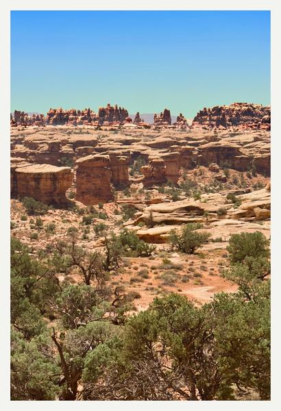 The Needles – Canyonlands National Park Postcard Front